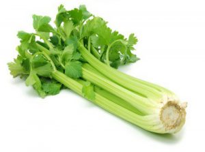Сельдерей