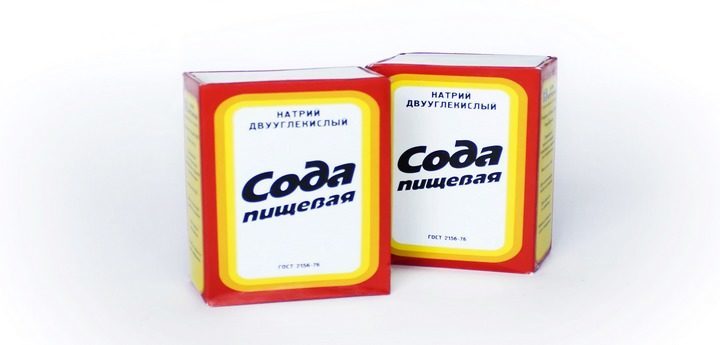 Фото. И пищевой продукт, и эффективное лекарство Фото. И пищевой продукт, и эффективное лекарство