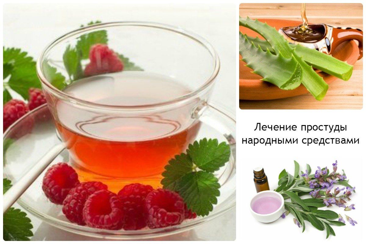 Фото. Народная аптека Фото. Народная аптека