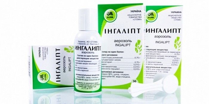 Препарат Ингалипт Препарат Ингалипт
